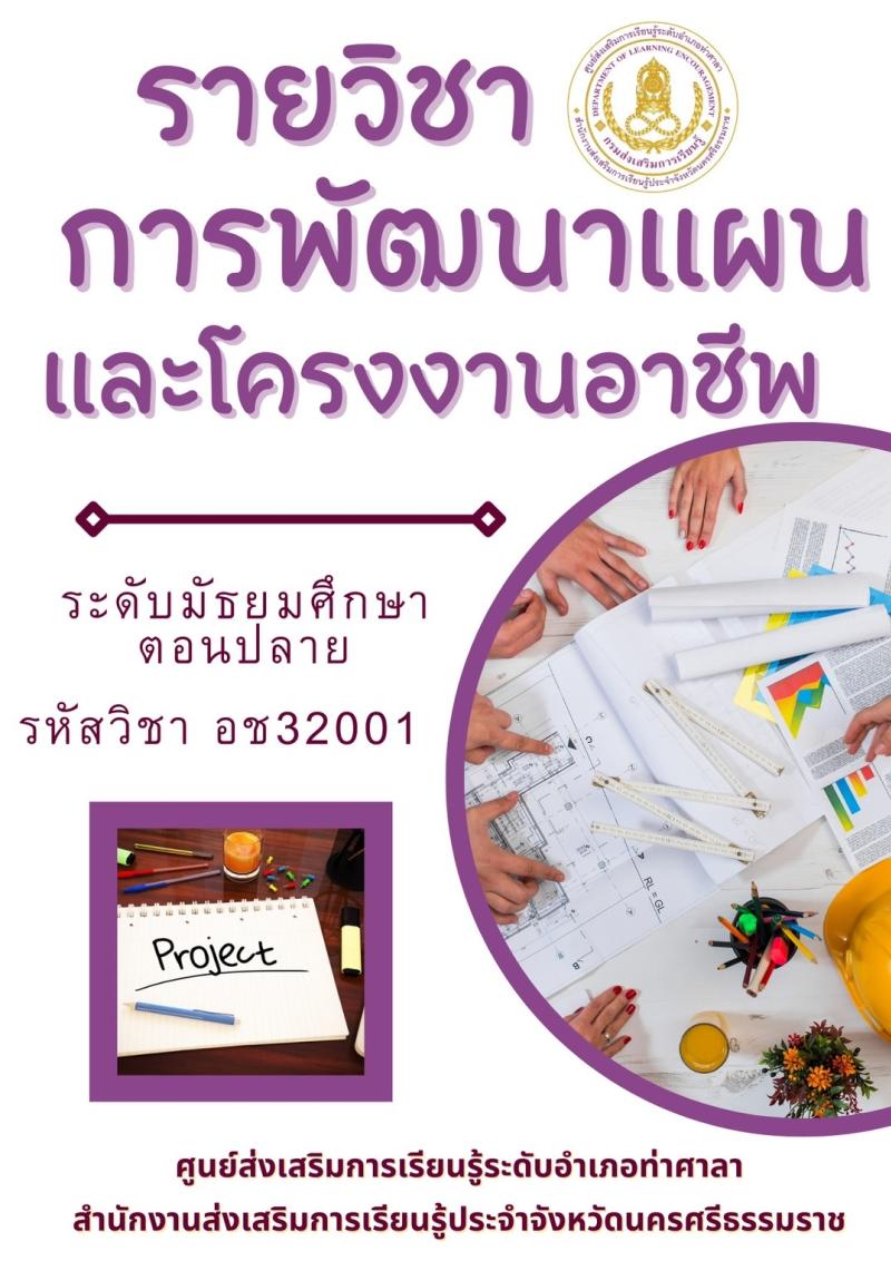 การพัฒนาแผนและโครงการอาชีพ